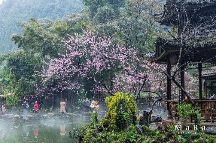《长津湖》令人泪目,71年前那场战役究竟是何等的悲壮?